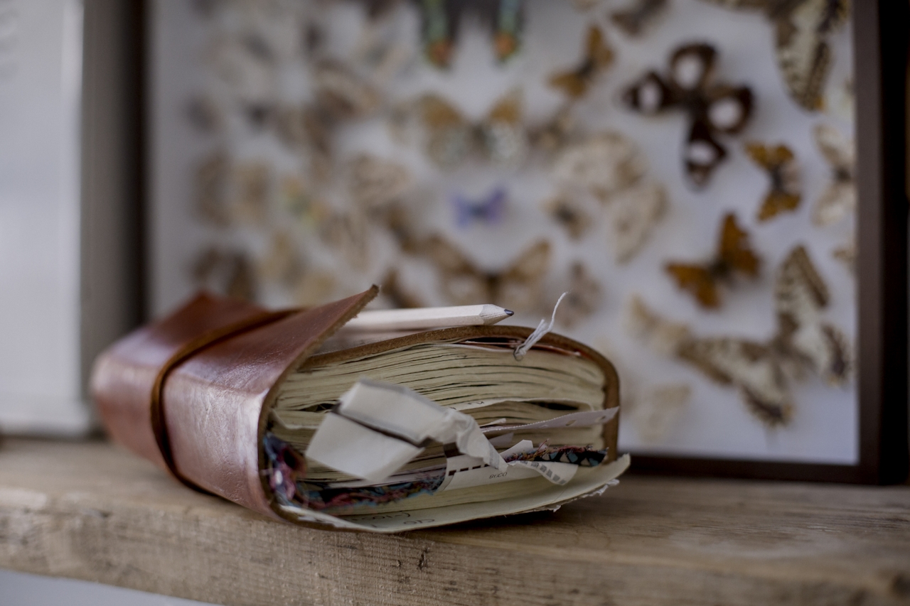 Reflection as Renewal: Why Education Needs to Slow Down to  Move Forward 